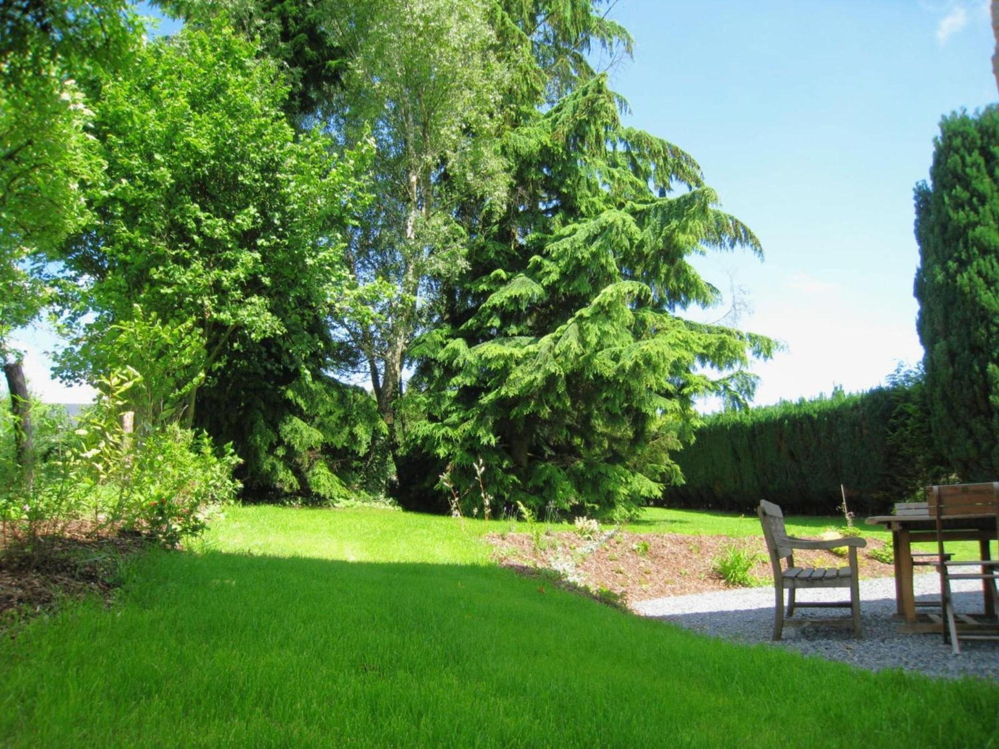A Beautifully Renovated Mansion In The Ardennes Villa Vielsalm Luaran gambar
